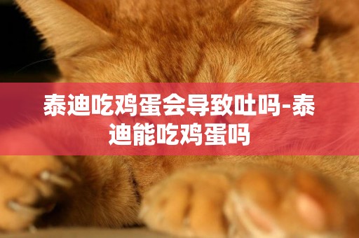 泰迪吃雞蛋會導致吐嗎-泰迪能吃雞蛋嗎