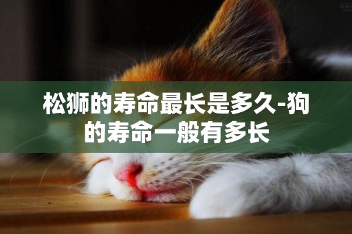 松獅的壽命最長是多久-狗的壽命一般有多長