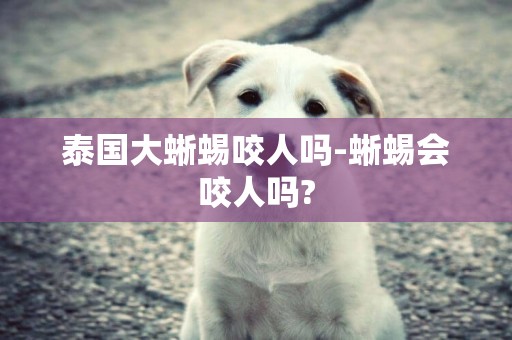 泰國大蜥蜴咬人嗎-蜥蜴會咬人嗎?