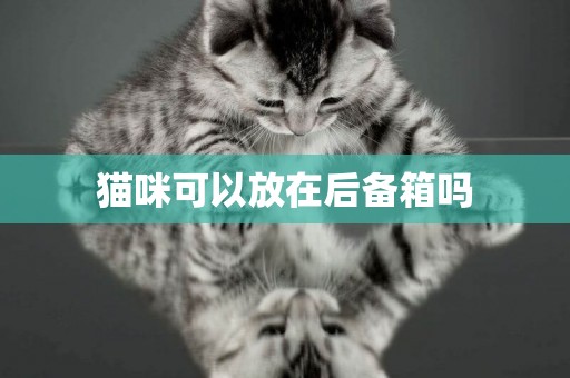 貓咪可以放在后備箱嗎