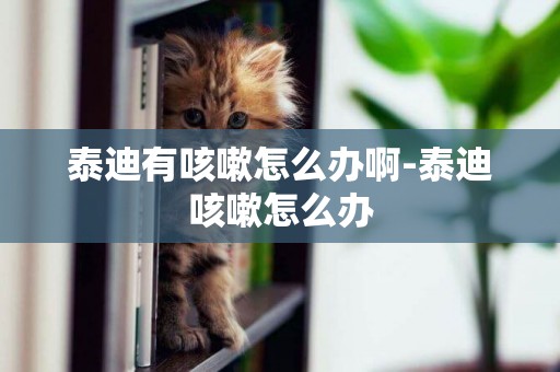 泰迪有咳嗽怎么辦啊-泰迪咳嗽怎么辦