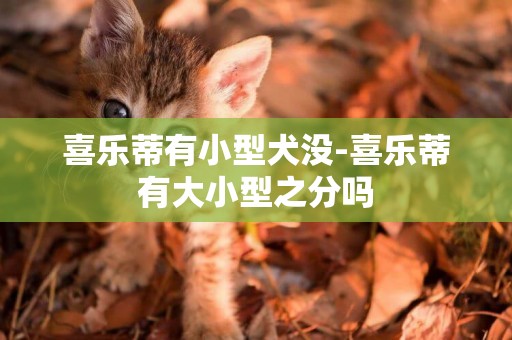 喜樂蒂有小型犬沒-喜樂蒂有大小型之分嗎