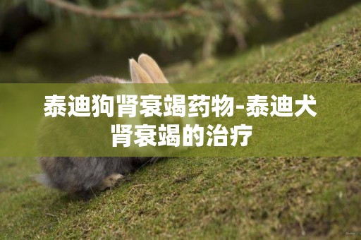 泰迪狗腎衰竭藥物-泰迪犬腎衰竭的治療