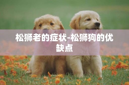 松獅老的癥狀-松獅狗的優缺點