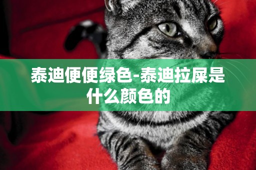 泰迪便便綠色-泰迪拉屎是什么顏色的