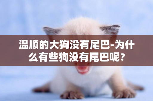 溫順的大狗沒有尾巴-為什么有些狗沒有尾巴呢？