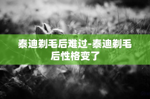泰迪剃毛后難過-泰迪剃毛后性格變了