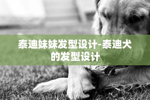 泰迪妹妹發型設計-泰迪犬的發型設計
