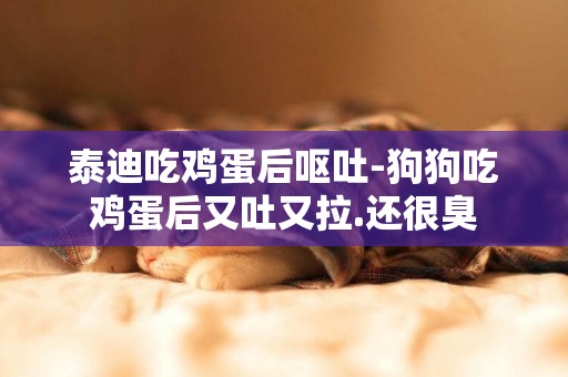 泰迪吃雞蛋后嘔吐-狗狗吃雞蛋后又吐又拉.還很臭