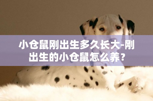 小倉鼠剛出生多久長大-剛出生的小倉鼠怎么養？
