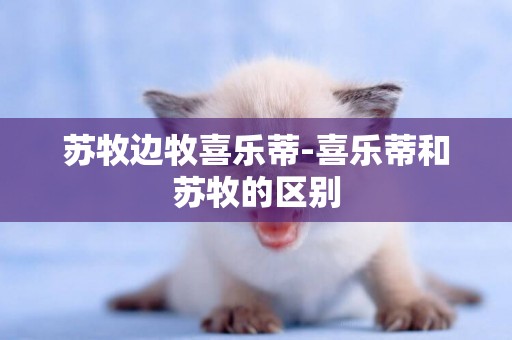蘇牧邊牧喜樂蒂-喜樂蒂和蘇牧的區別