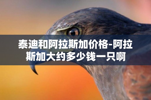 泰迪和阿拉斯加價格-阿拉斯加大約多少錢一只啊