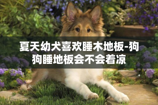 夏天幼犬喜歡睡木地板-狗狗睡地板會不會著涼
