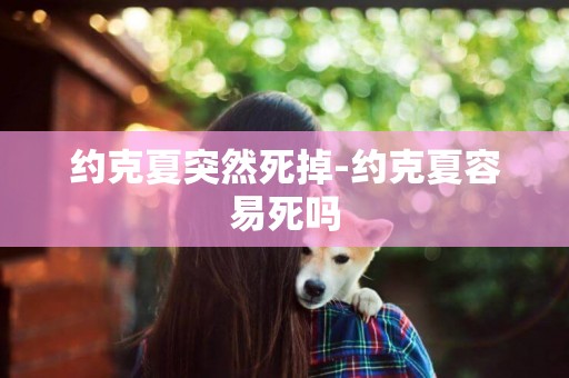約克夏突然死掉-約克夏容易死嗎