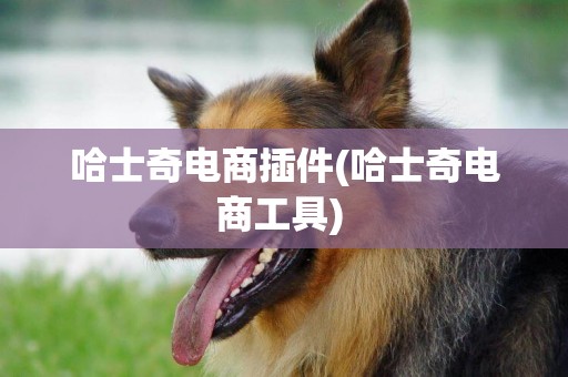哈士奇電商插件(哈士奇電商工具) 