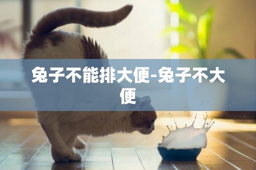 兔子不能排大便-兔子不大便