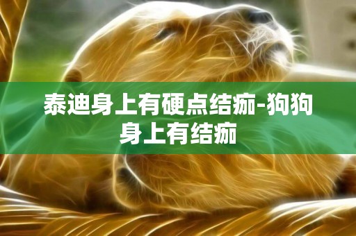 泰迪身上有硬點結痂-狗狗身上有結痂