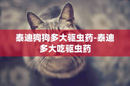 泰迪狗狗多大驅蟲藥-泰迪多大吃驅蟲藥