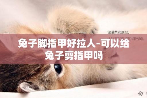 兔子腳指甲好拉人-可以給兔子剪指甲嗎