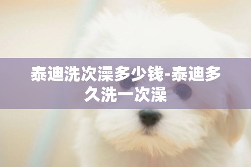 泰迪洗次澡多少錢-泰迪多久洗一次澡