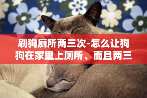 刷狗廁所兩三次-怎么讓狗狗在家里上廁所、而且兩三次就尿完？