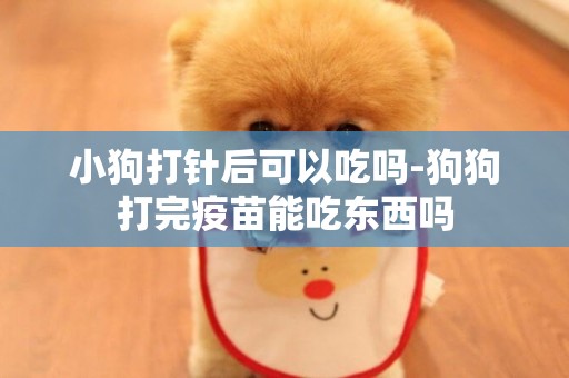 小狗打針后可以吃嗎-狗狗打完疫苗能吃東西嗎