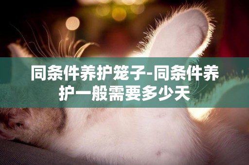 同條件養護籠子-同條件養護一般需要多少天