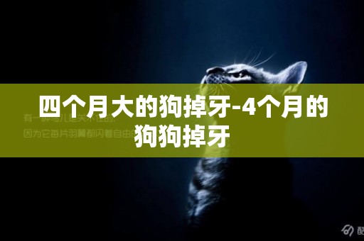 四個月大的狗掉牙-4個月的狗狗掉牙