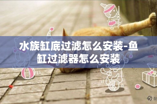 水族缸底過濾怎么安裝-魚缸過濾器怎么安裝