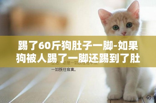 踢了60斤狗肚子一腳-如果狗被人踢了一腳還踢到了肚子上會怎么樣