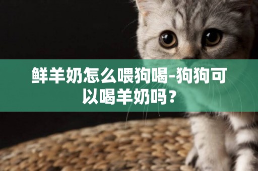 鮮羊奶怎么喂狗喝-狗狗可以喝羊奶嗎？