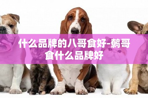 什么品牌的八哥食好-鷯哥食什么品牌好