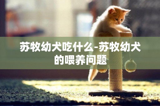 蘇牧幼犬吃什么-蘇牧幼犬的喂養問題