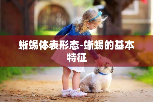 蜥蜴體表形態-蜥蜴的基本特征