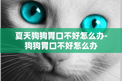 夏天狗狗胃口不好怎么辦-狗狗胃口不好怎么辦