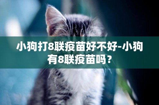 小狗打8聯疫苗好不好-小狗有8聯疫苗嗎？