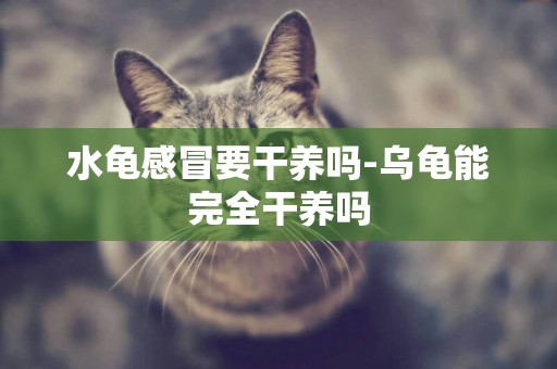 水龜感冒要干養嗎-烏龜能完全干養嗎
