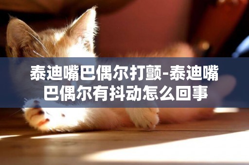 泰迪嘴巴偶爾打顫-泰迪嘴巴偶爾有抖動怎么回事
