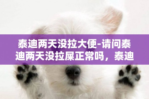 泰迪兩天沒拉大便-請問泰迪兩天沒拉屎正常嗎，泰迪2天不拉屎算正常嗎？？？
