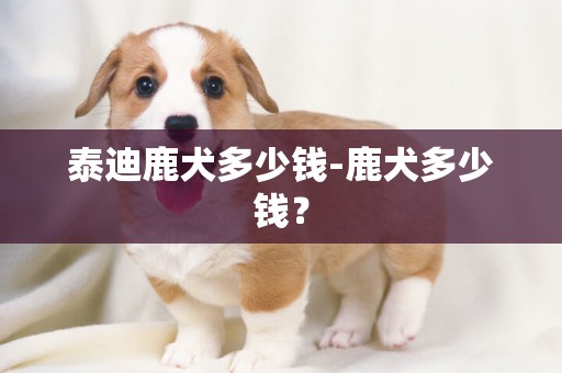 泰迪鹿犬多少錢-鹿犬多少錢？