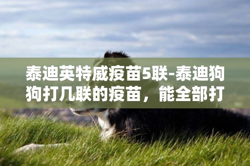 泰迪英特威疫苗5聯-泰迪狗狗打幾聯的疫苗，能全部打四聯的嗎