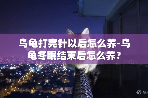 烏龜打完針以后怎么養-烏龜冬眠結束后怎么養？