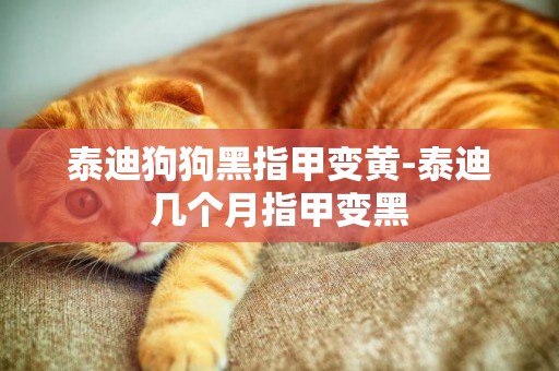 泰迪狗狗黑指甲變黃-泰迪幾個月指甲變黑