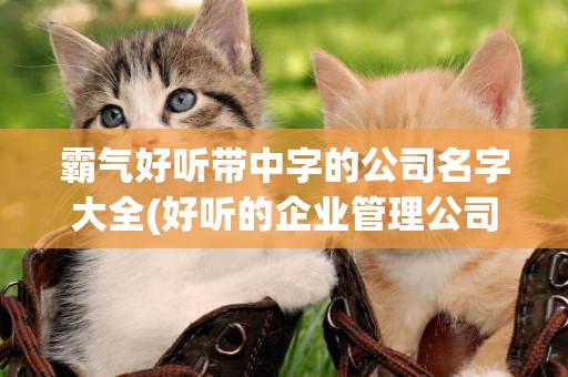 霸氣好聽帶中字的公司名字大全(好聽的企業管理公司名字大全) 