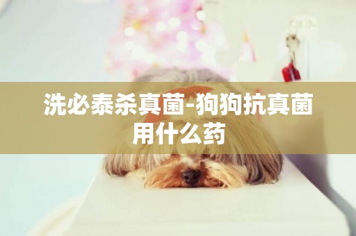 洗必泰殺真菌-狗狗抗真菌用什么藥