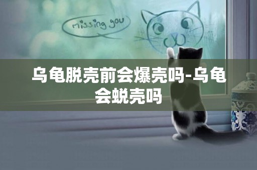 烏龜脫殼前會爆殼嗎-烏龜會蛻殼嗎