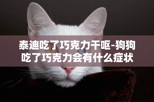 泰迪吃了巧克力干嘔-狗狗吃了巧克力會有什么癥狀