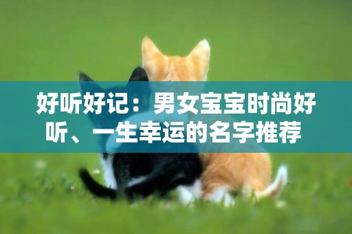 好聽好記：男女寶寶時尚好聽、一生幸運的名字推薦 