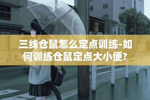 三線倉鼠怎么定點訓練-如何訓練倉鼠定點大小便?