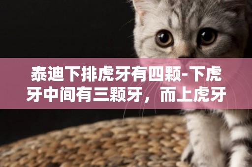 泰迪下排虎牙有四顆-下虎牙中間有三顆牙，而上虎牙間有四顆，影響大嗎